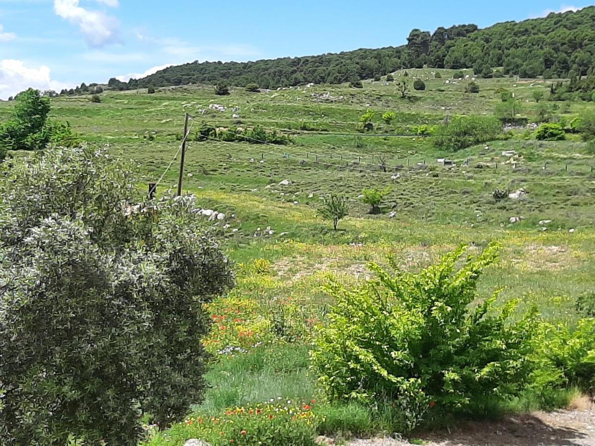 בית הארחה Casa Rural "Eccehomo De Borja" מראה חיצוני תמונה