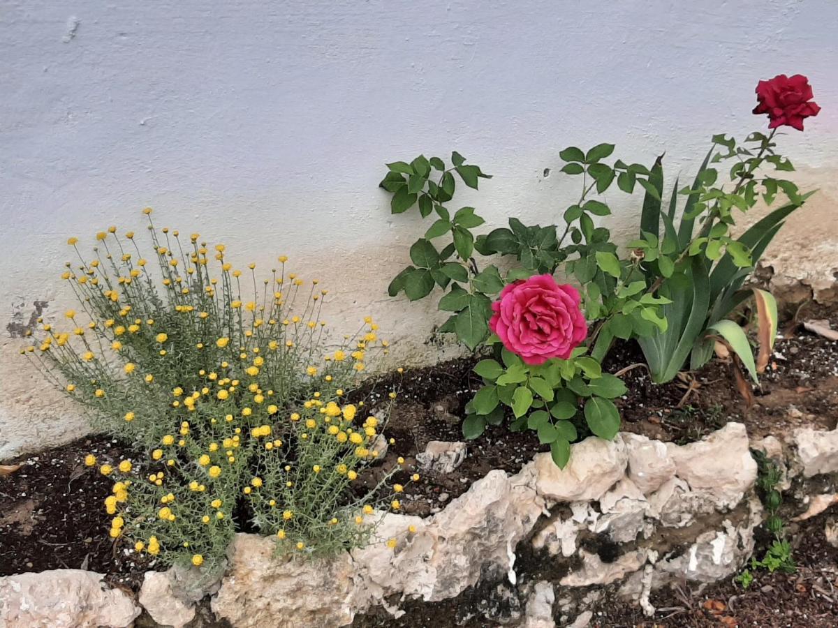 בית הארחה Casa Rural "Eccehomo De Borja" מראה חיצוני תמונה