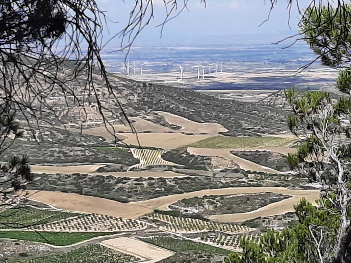 בית הארחה Casa Rural "Eccehomo De Borja" מראה חיצוני תמונה