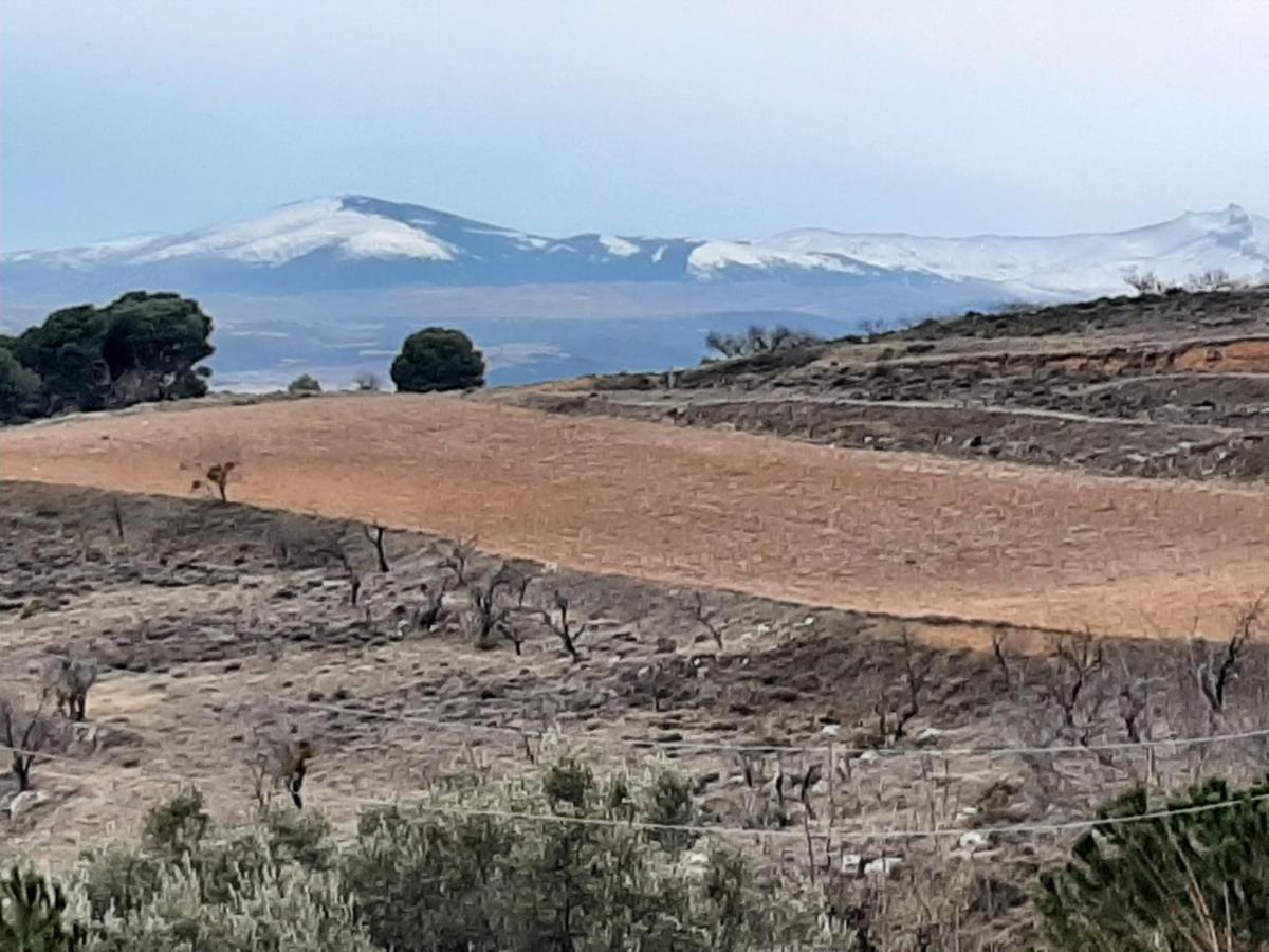 בית הארחה Casa Rural "Eccehomo De Borja" מראה חיצוני תמונה