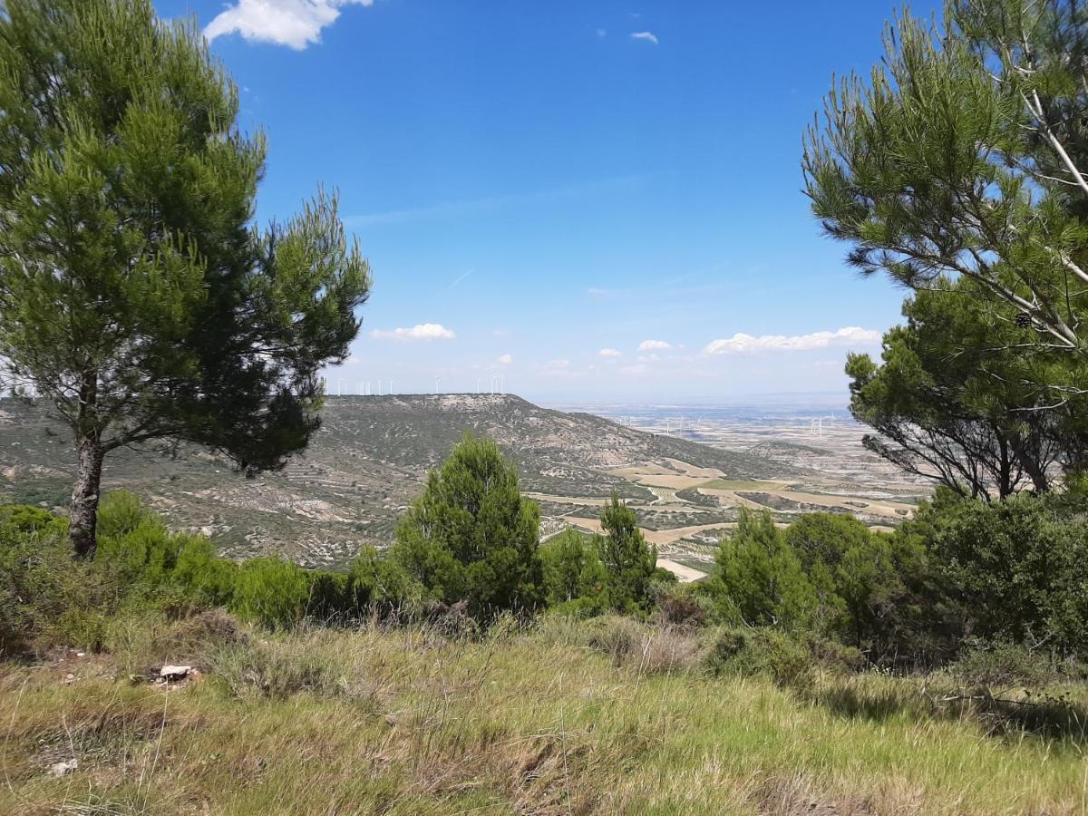 בית הארחה Casa Rural "Eccehomo De Borja" מראה חיצוני תמונה