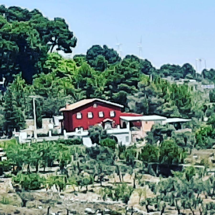 Casa Rural "Eccehomo De Borja" מראה חיצוני תמונה